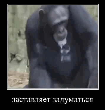 x_5b04615b63.webp