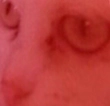 ы.webp