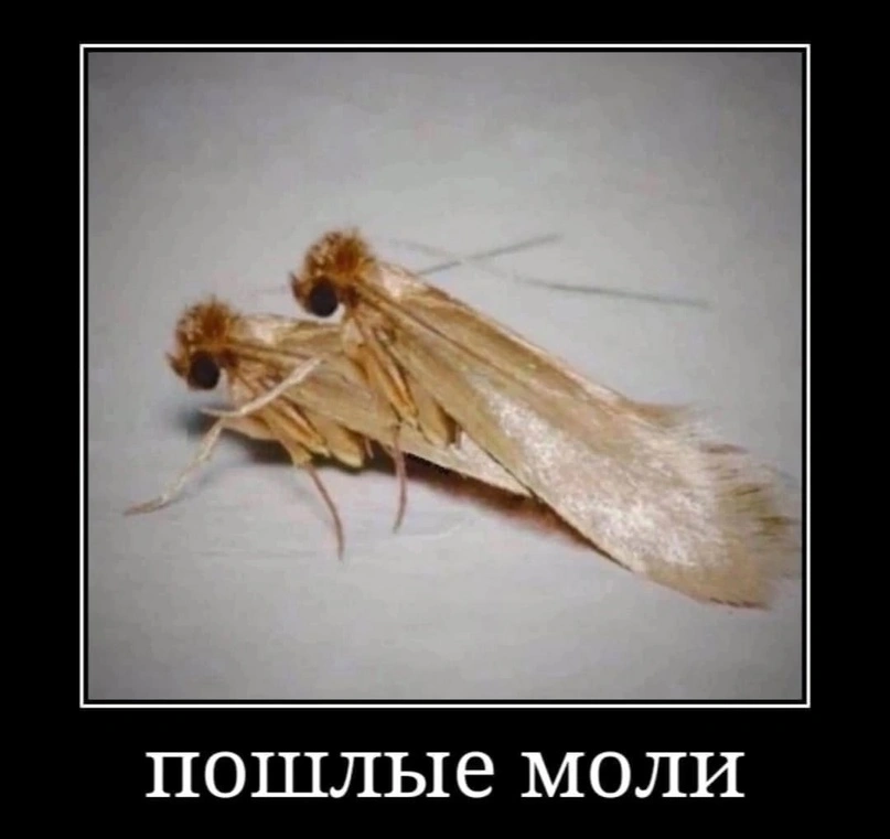 y5cHODYkbzk.webp