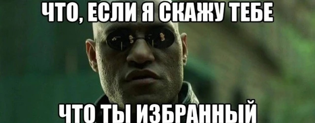 y_500cc5e0.webp