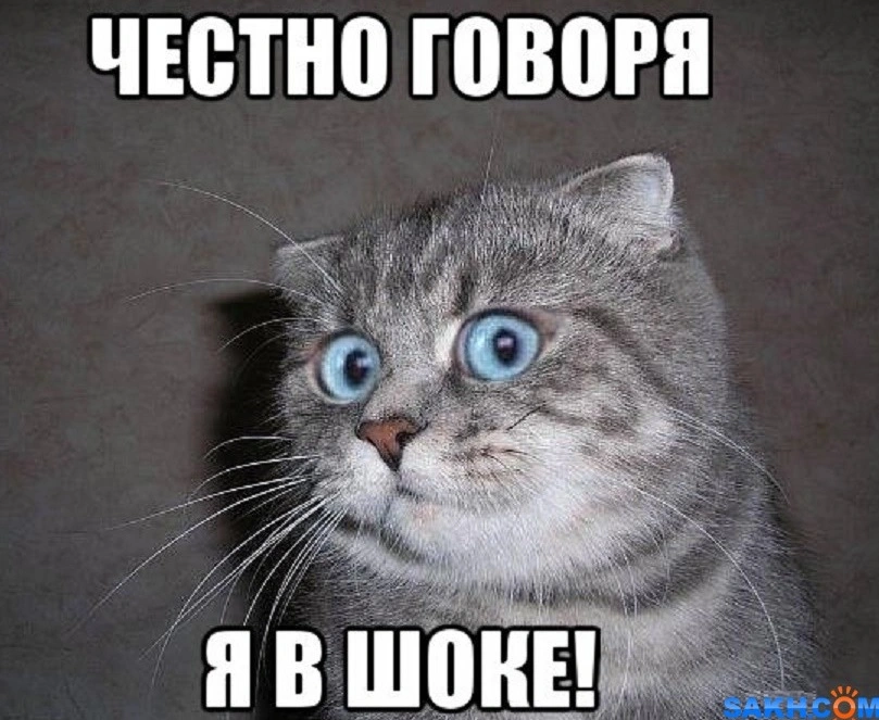 я в шоке.webp