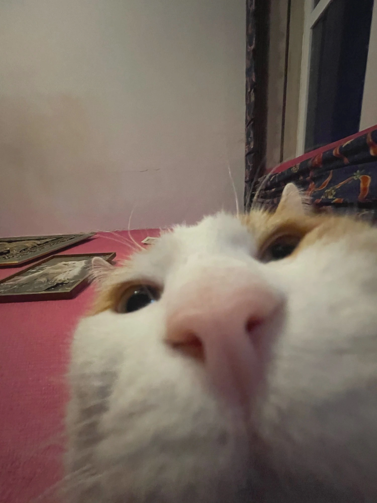 YcjZictXEl0.webp