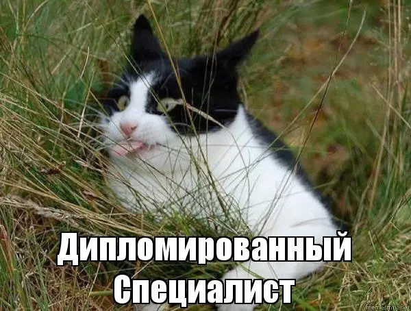 yckscl.webp
