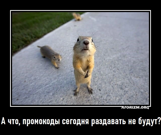 Есть чё.webp