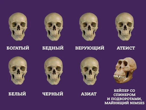 YnGVvDdsIfM.webp