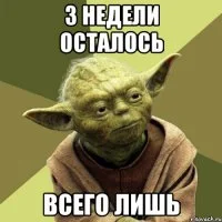 yoda_58010078_orig_.webp