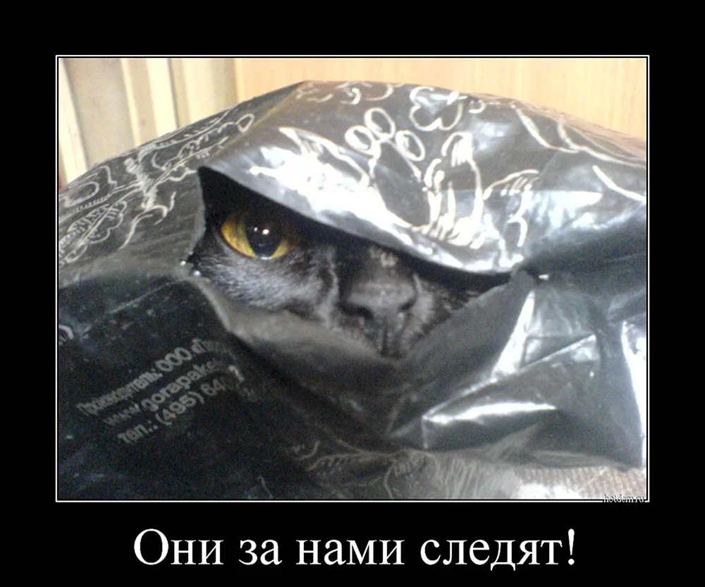 za-nami-slediat-1.webp