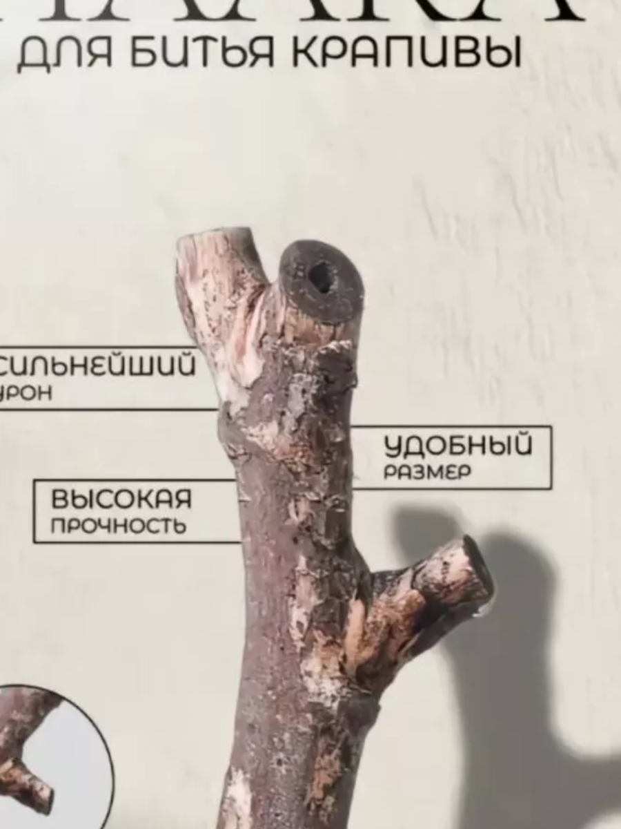 загруженное.webp