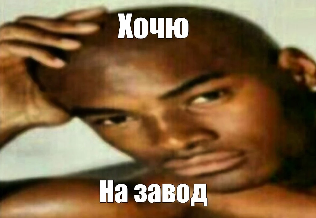 zavod.webp
