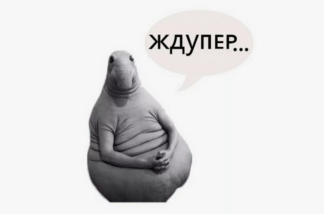 жд.png