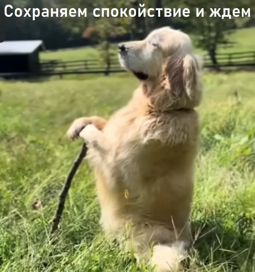 ждем5.webp