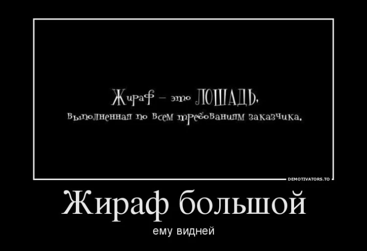 zhiraf-750x513.webp