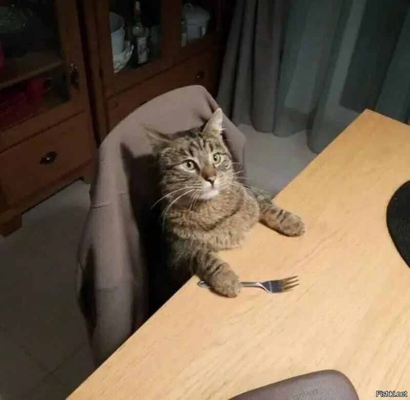 !!!!Жрац.webp