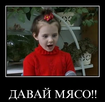 Zoo.webp