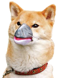 ZRWl6akCXtk.webp