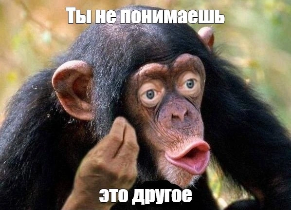 zzz.webp