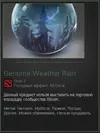 rain.webp