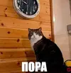 bbccf811ea942ced425c5fcc9b141252_1527829178488479869.webp