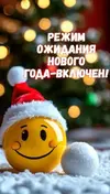 IMG_20251221_061545_645.webp