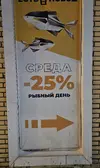 20251205_182911.webp