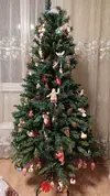 IMG_20251225_074149_009.webp