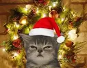 4969d27d71e9219d1d4521bd79b8faf7.webp