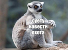 IMG_0146.webp