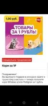 Screenshot_20260103_151626_Telegram.webp