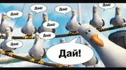 i (22).webp