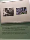 IMG_20260103_133443.webp IMG_20260103_133443.webp