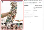 Скриншот 09-01-2026 131029.webp