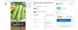 кабачок.webp