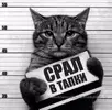 _jm64BGK62g.webp