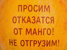 IMG_0668.webp