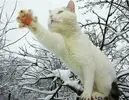 F2KUpEkLHSY.webp