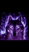 56f8dbf9d2ccf787e8f8f817be8bf41e.webp