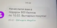 1770466978651.webp