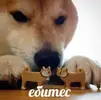 1770836194786.webp
