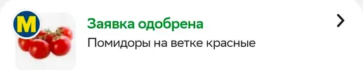 Screenshot_20260213_232829.webp
