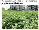 Скриншот 21-02-2026 220411.webp