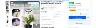 лампа.webp