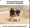 IMG_20260224_133326.webp