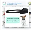 Screenshot_8.webp