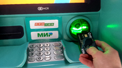 киви.webp