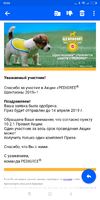 Screenshot_2019-02-28-20-04-12-684_ru.mail.mailapp.webp