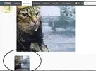 Без.webp Без.webp