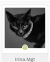 Screenshot_2026-03-17-23-51-59-67_4641ebc0df1485bf6b47ebd018b5ee76.webp