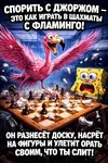 Flamingo_Джорж.webp