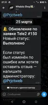 3.webp