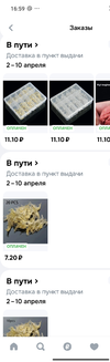 1000025929.webp
